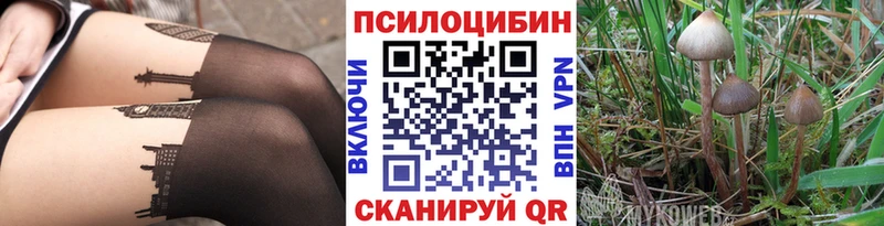 MEGA как войти  Байкальск  Псилоцибиновые грибы MAGIC MUSHROOMS 